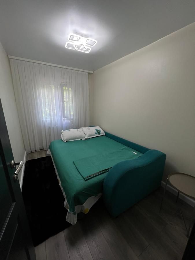 The Urban Hub 2 Apartment Iasi Bagian luar foto